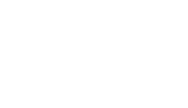 Ana Steffler Fine Art